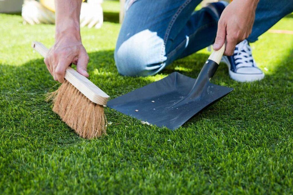 What Maintenance Tips Should You Know for a Lush, Green Grass Carpet?