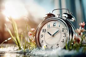 Daily Time Table