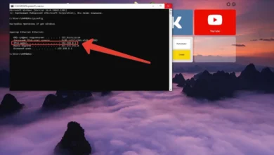 What Could “ip250063917” Represent?