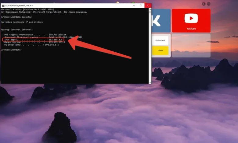 What Could “ip250063917” Represent?