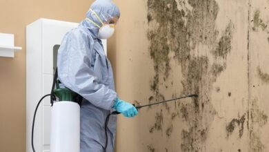 Mold Remediation Technologies