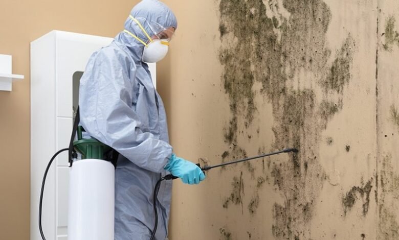 Mold Remediation Technologies